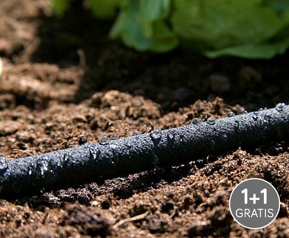 Kinzo Druppelslang Voor Een Ideale Bewatering Van De Tuin Vandaag 1+1