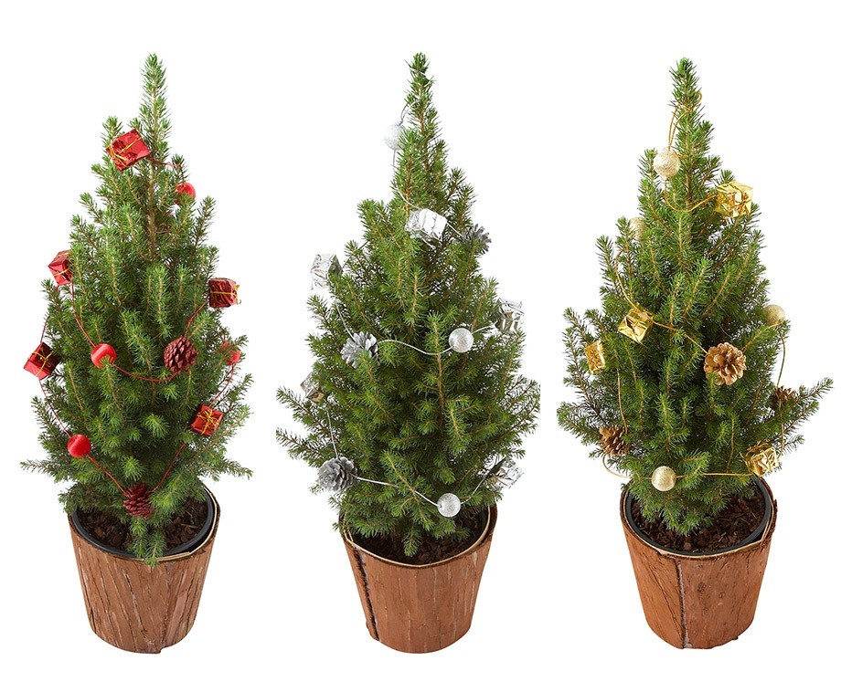 Set Van 2 Mini Kerstbomen Met Slingers Keuze Uit 3 Kleuren