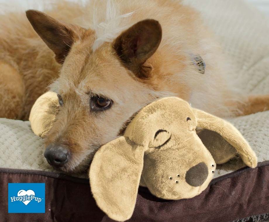 HuggiePup Hartslag knuffel voor een puppy, hond - Hartslag knuffel hond met warmhoud zakje – Warmte knuffel – Heartbeat knuffel Puppy - Pluche